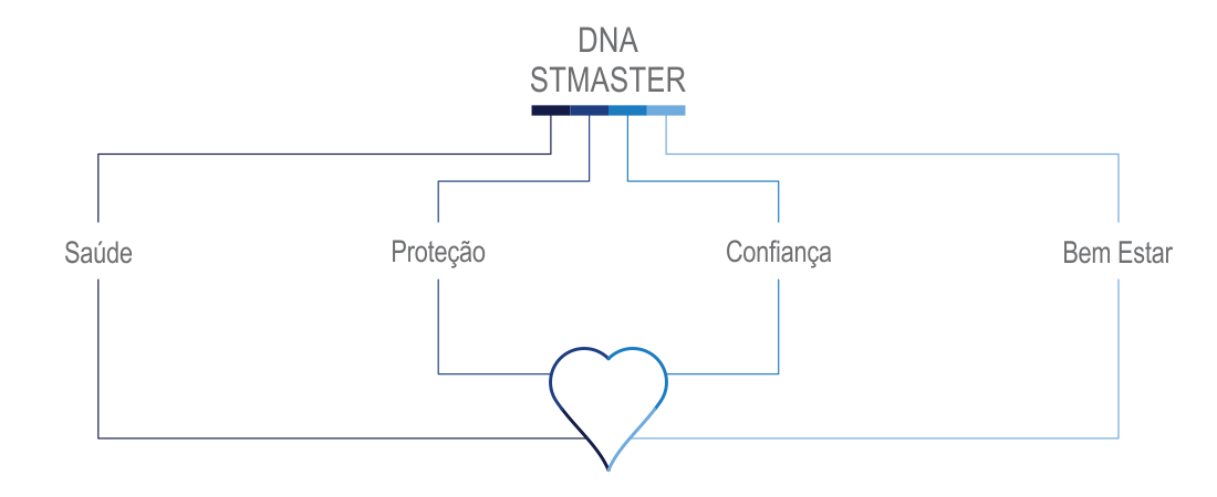 Pilares Marca STMASTER